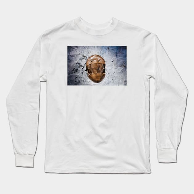 Fossil 2 Long Sleeve T-Shirt by Wolf Art / Swiss Artwork Photography